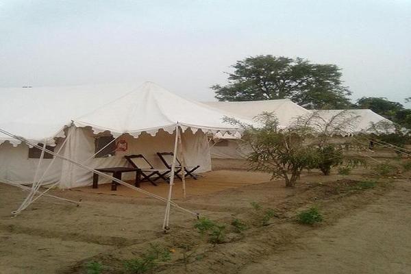 Royal Rajasthan Camp